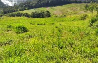 Imagem 15: Lote/Terreno para venda com 1000 metros quadrados em Parque São Luís - São Paulo - SP