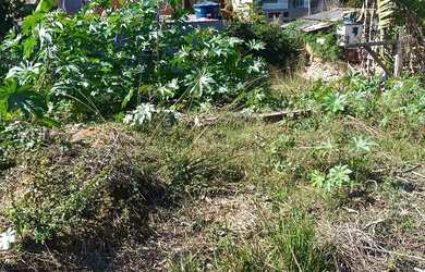 Imagem 3: Lote a venda no São Luís da barra em Barra do Pirai