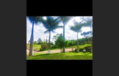 Imagem 6: lotes para investir. 