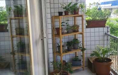 Imagem 16: Homer Captações -1978902