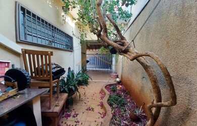 Imagem 12: Casa Padrão - Ribeirão Preto - Alto do Ipiranga