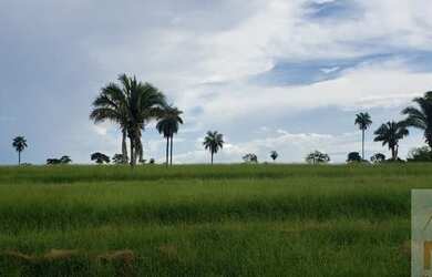 Imagem 9: Fazenda para Venda em Montes Claros de Goiás, Fazendinha