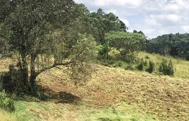 Imagem 5: Lote/Terreno mairiporã sp