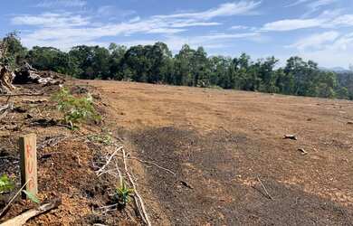 Imagem 10: Terreno para plantação. Piscina, Churrasqueirae600m² de Área