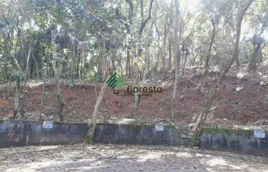 Imagem 1: TERRENO PLANO. 2.353m² de Área