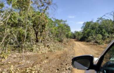 Imagem 4: Faz 115 Alq planta 310 Hec 2 Taiao lavouras ao lado