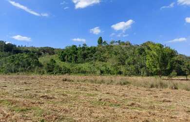 Imagem 8: Lote/Terreno para venda possui 600 metros quadrados em Jardim Paineiras...