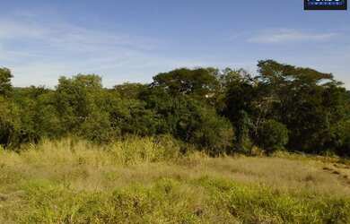 Imagem: O terreno possui 31.564m² de Área e está localizado em Ribeirão