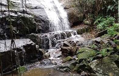 Imagem 7: Lote/Terreno para venda tem 18213 metros quadrados em Itapecerica - Ilhabela...