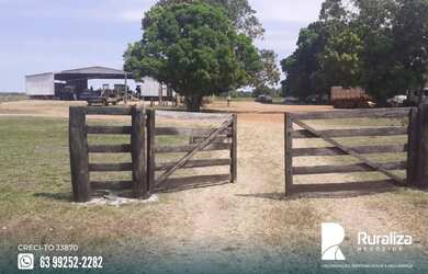 Imagem 2: Fazenda em exploração agrícola na região do Vale do Araguaia TO
