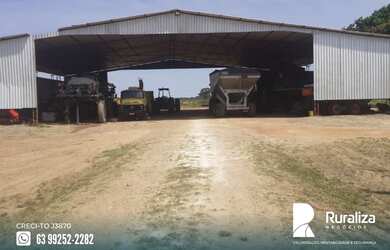 Imagem 3: Fazenda em exploração agrícola na região do Vale do Araguaia TO