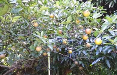 Imagem 10: Casa com 3 dormitórios à venda, 205 m² por R$ 969.000,00 - Vila Anglo...