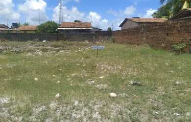 Imagem 3: TERRENO EM CATUAMA GOIANA-PE