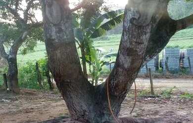 Imagem 7: Casa Casa com 2 dormitórios