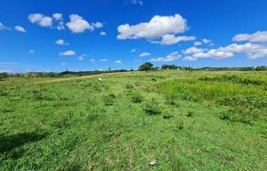 Imagem 6: Fazenda com 53 alqueires na Região dos Lagos, frente para o asfalto