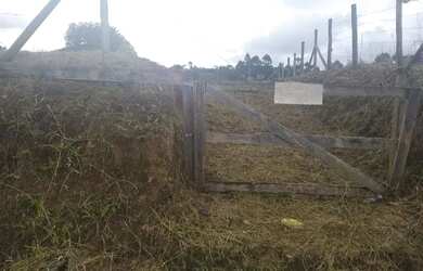 Imagem 5: M- Lote/Terreno para venda tem 360 metros quadrados em Areias de Cima...