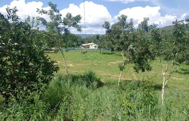 Imagem 13: Fazenda Minas Gerais Buritis