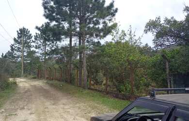 Imagem 5: 297 mil reais lagoa casa piscina internet 1 alq paulista