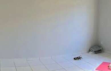 Imagem 2: Aluga-se casa 906 sul. Varanda, 597m² de Área, 3 Vagas na garageme3...