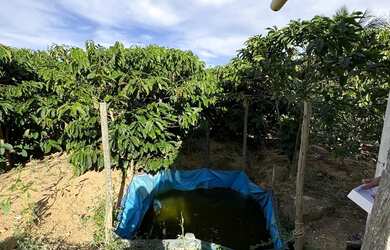 Imagem 13: MIMOSO COM 7 MIL PÉS DE CAFÉ COM CASA ENERGIA E MUITA ÁGUA