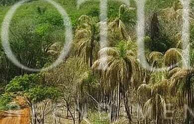 Imagem 12: 86A-ATIBAIA EXCLUSIV LOTES 600M² POR 65MIL VISITE