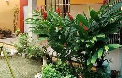 Imagem 8: Casa a venda no Cohajap. Piscina, Churrasqueira, Varandae240m² de Área