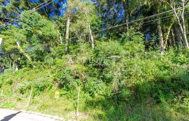 Imagem 8: TERRENO NA VILA SUZANA. 1.122m² de Área