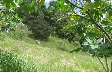 Imagem 5: 2 terrenos um ao lado do outro - 1600 metros quadrados em Lageadinho - Ibiúna - SP