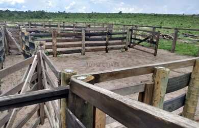 Imagem 3: Oportunidade Fazenda Campo Novo Do Parecis
