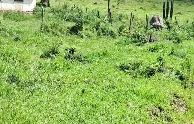 Imagem: A fazenda possui 90.000m² de Área e está localizado em Desterro