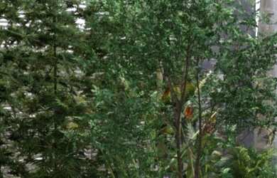 Imagem 8: Residencial Caius. Churrasqueira, Imóvel mobiliado, Imóvel novoe72m²...