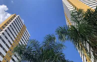 Imagem 11: Apartamento 3 dormitórios Edifício Terranova Gleba Fazenda Palhano Londrina