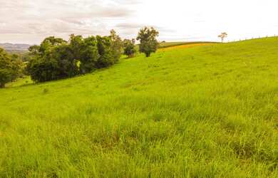 Imagem 5: Terreno à venda com 61.000 metros apenas 6km do Shopping de Bragança...