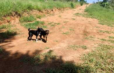 Imagem 13: Terreno com luz individual