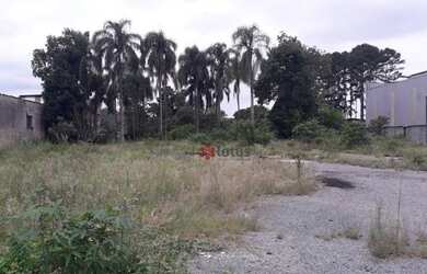 Imagem 2: Terreno Industrial em Santana de Parnaíba