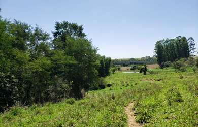 Imagem 4: Sitio TATUÍ - 23 ALQUEIRES