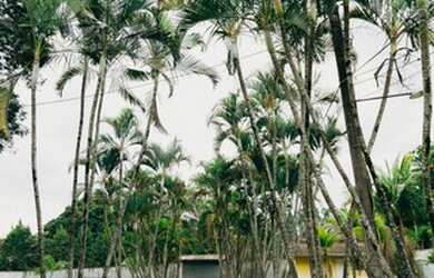 Imagem 11: SALTO - Chácara - BURU. Piscina, Churrasqueira, Ar-condicionadoeÁrea...