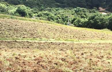 Imagem 1: Lote/Terreno mairiporã sp