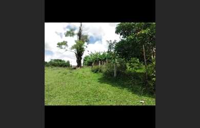 Imagem 9: lotes para investir. 