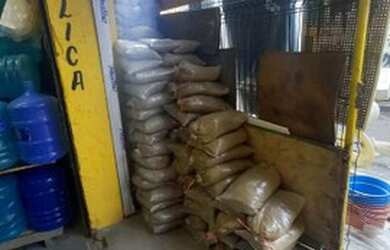 Imagem 3: Vendo Loja no Tuiuti