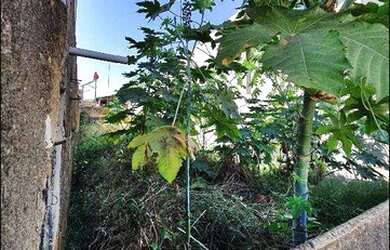 Imagem 8: Terreno à venda, 125 m² por R$ 120.000,00 - Jardim Belo Horizonte -...