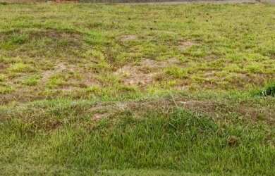 Imagem 2: Lotes paralelos Condomínio Jardins Bolonha