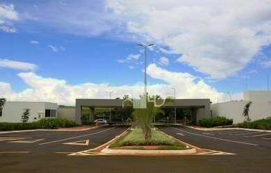 Imagem 3: Terreno à venda, 689 m² por R$ 1.150.000,00 - Jardins Gênova - Uberlândia/MG