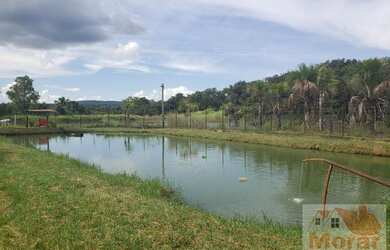 Imagem 12: Fazenda para Venda em Montes Claros de Goiás, Fazendinha