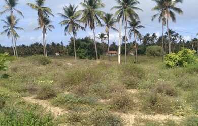 Imagem: O terreno está localizado em Pacatuba, SE à venda por R$120.000