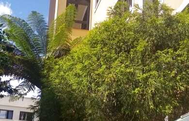 Imagem 1: Residencial Rembrandt. Churrasqueira, Imóvel mobiliado, Varandae112m²...