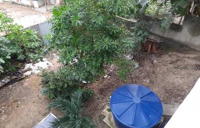 Imagem 7: Excelente casa em Ouro Preto