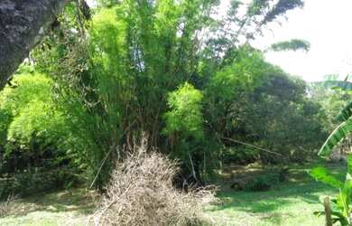 Imagem 6: Ótima área de 109 000 m² com escritura fica de frente pra geral de...