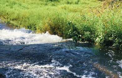 Imagem 15: Lote/Terreno para venda possui 600 metros quadrados em Jardim Paineiras...