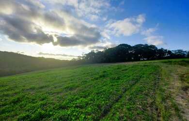 Imagem 9: quot o/26 Promoção só em Cotia-SP Terrenos 35.000 mil Agende sua visita